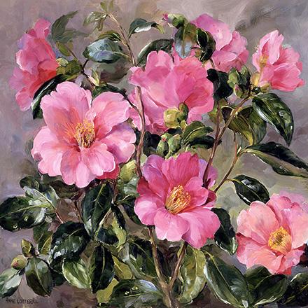 Camellias - Blank Card by Anne Cotterill