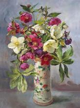 Pink and White Hellebores Blank Greetings Card by Anne Cotterill