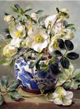 White Hellebores in a Chinese Vase - Birthday Card by Anne Cotterill