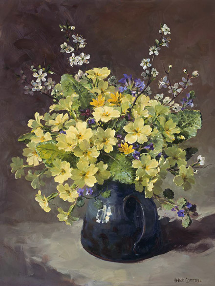 Primroses and Blackthorn A-R103