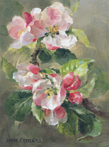 Small Rectangle B-Series fine art cards taken from the floral paintings of Anne Cotterill