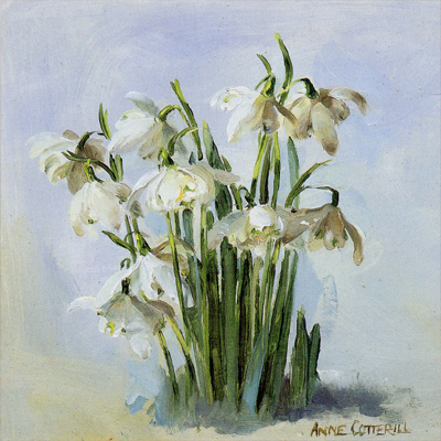 Snowdrops in Frost Christmas Card