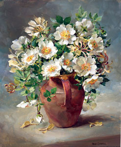 Lithographic Flower Prints - Signed Open Editions by Anne Cotterill