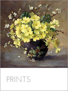 Fine Art Flower Prints taken from the original paintings of Anne Cotterill