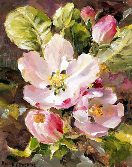Apple Blossom