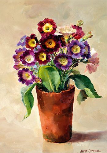 Auriculas card by Anne Cotterill