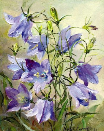 Small notecard of harebells by Anne Cotterill