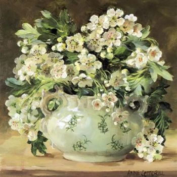 Greetings card of hawthorn blossom by Anne Cotterill