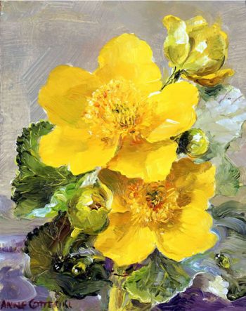 Small notecard of kingcups by Anne Cotterill