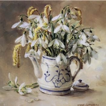 Greetings card of snowdrops and catkins in a doll's coffee pot by Anne Cotterill