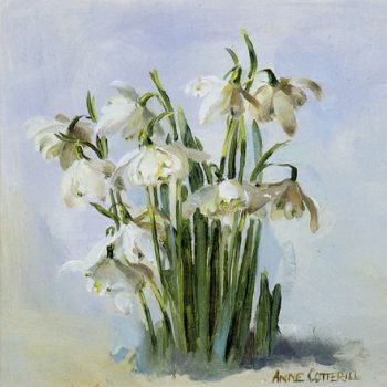 Snowdrops in Frost - Blank Card - D-0009 by Anne Cotterill