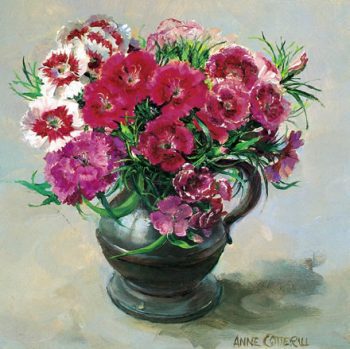 Sweet william. Blank greetings card by Anne Cotterill D-0014