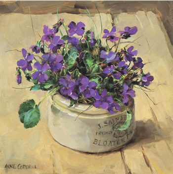 Purple wild violets in a bloated paste jar by Anne Cotterill