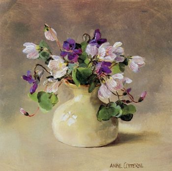 Blank card of wood sorrel with violets by Anne Cotterill