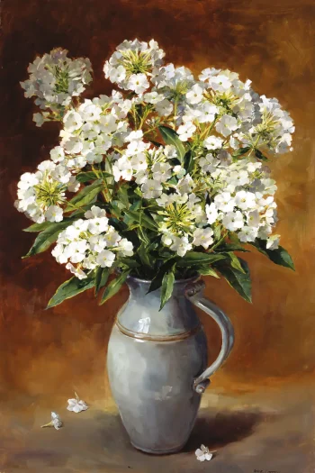 White Phlox - Print by Anne Cotterill - LE 070