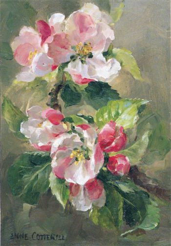 Apple Blossom card by Anne Cotterill