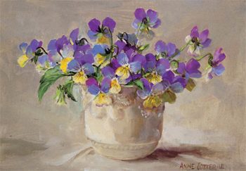 Violas in a white vase card by Anne Cotterill. B-0015