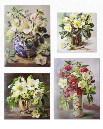 Hellebores Card Collection